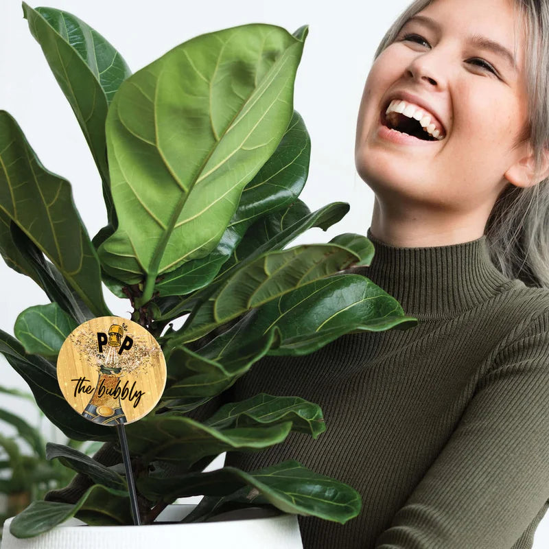 Bamboo Plant Pop - Pru + Trude