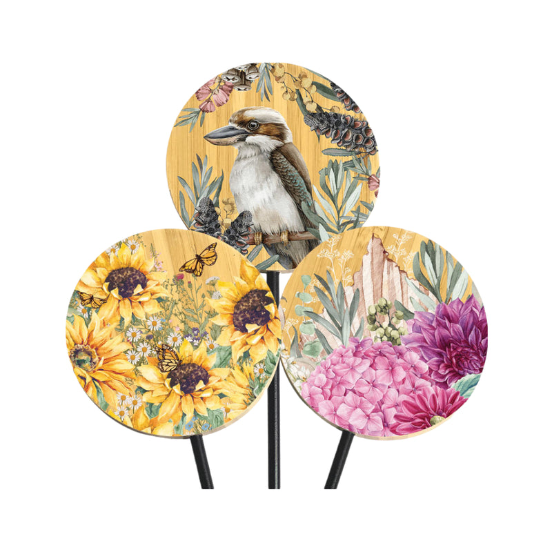 Bamboo Plant Pop - Chrysanthemum.