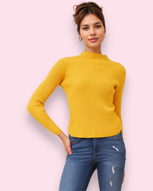 Aster Turtleneck Top