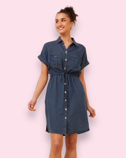 Dani Denim Dress